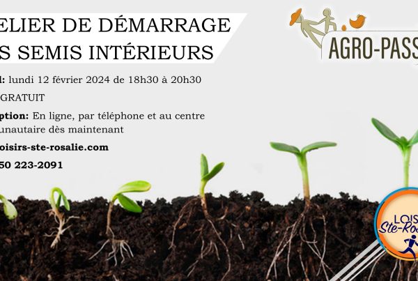 atelier démarrage semis